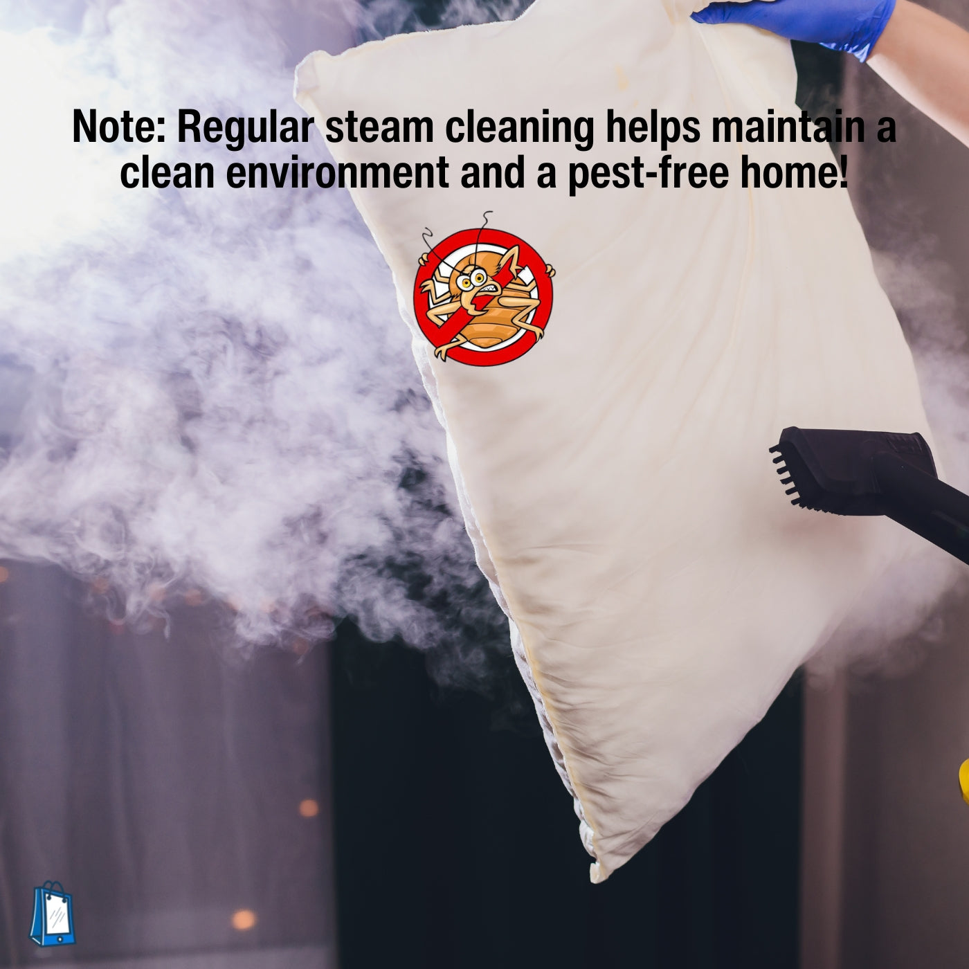 Handheld Steam Cleaner for Bed Bugs - The Master Tool